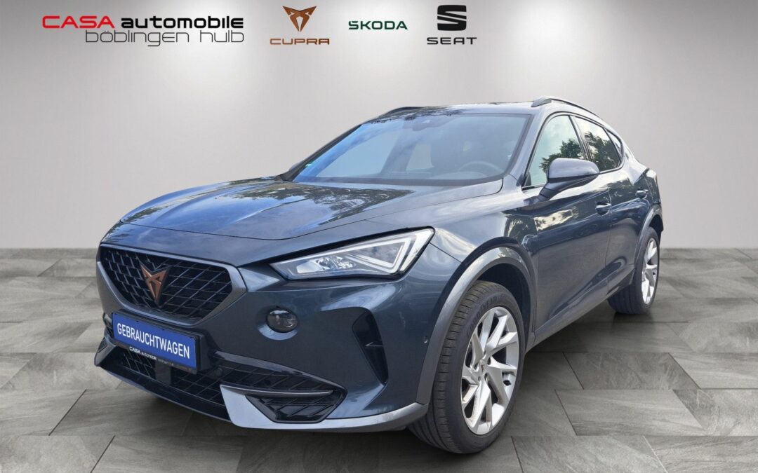 Cupra Formentor 1.5 TSI DSG AHK Navi Kamera SHZ PDC