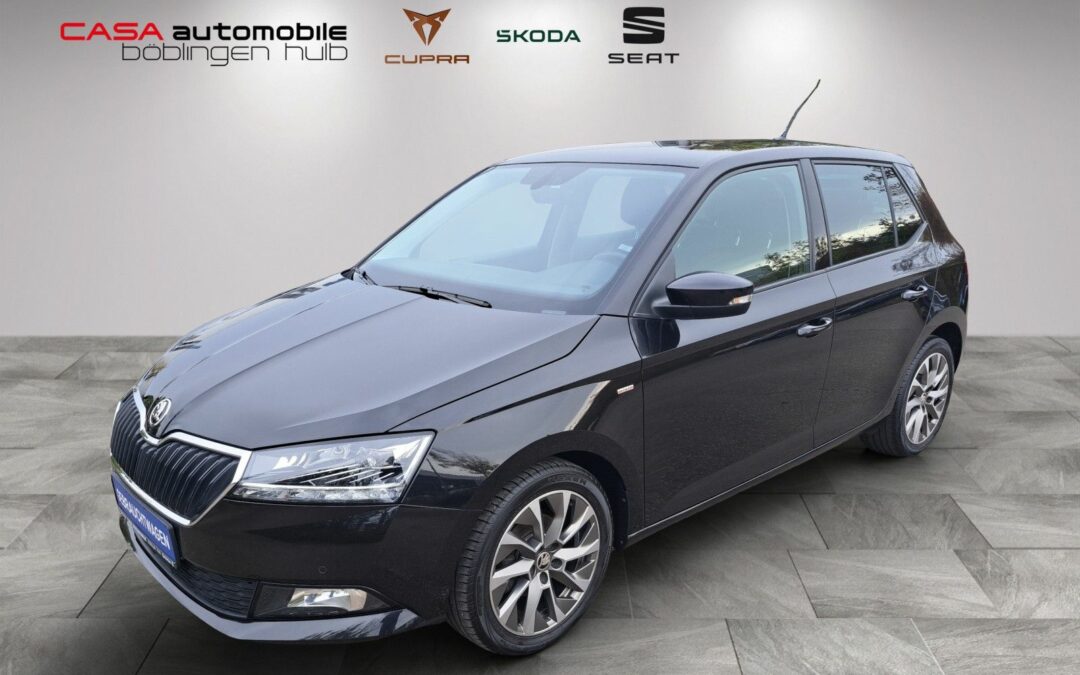 Skoda Fabia Clever Best of 1.0 TSI Navi ACC SHZ PDC