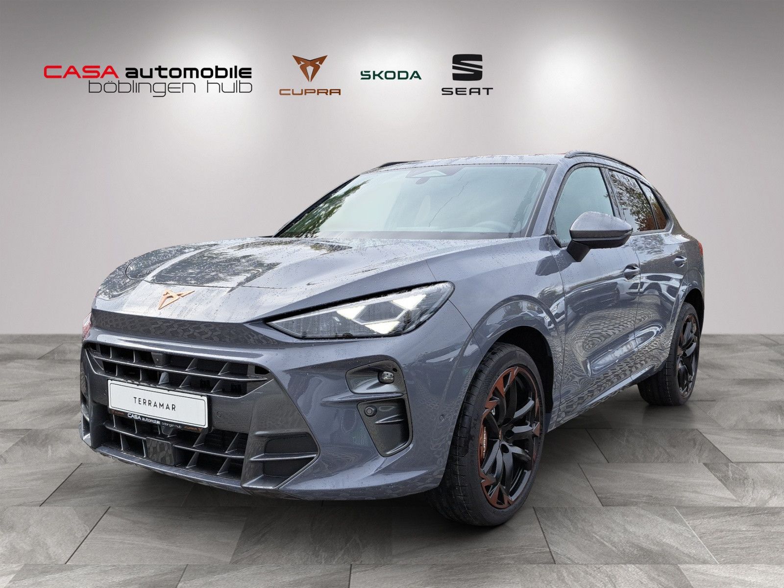 Terramar VZ 2.0 TSI DSG 4Drive Panodach DCC
