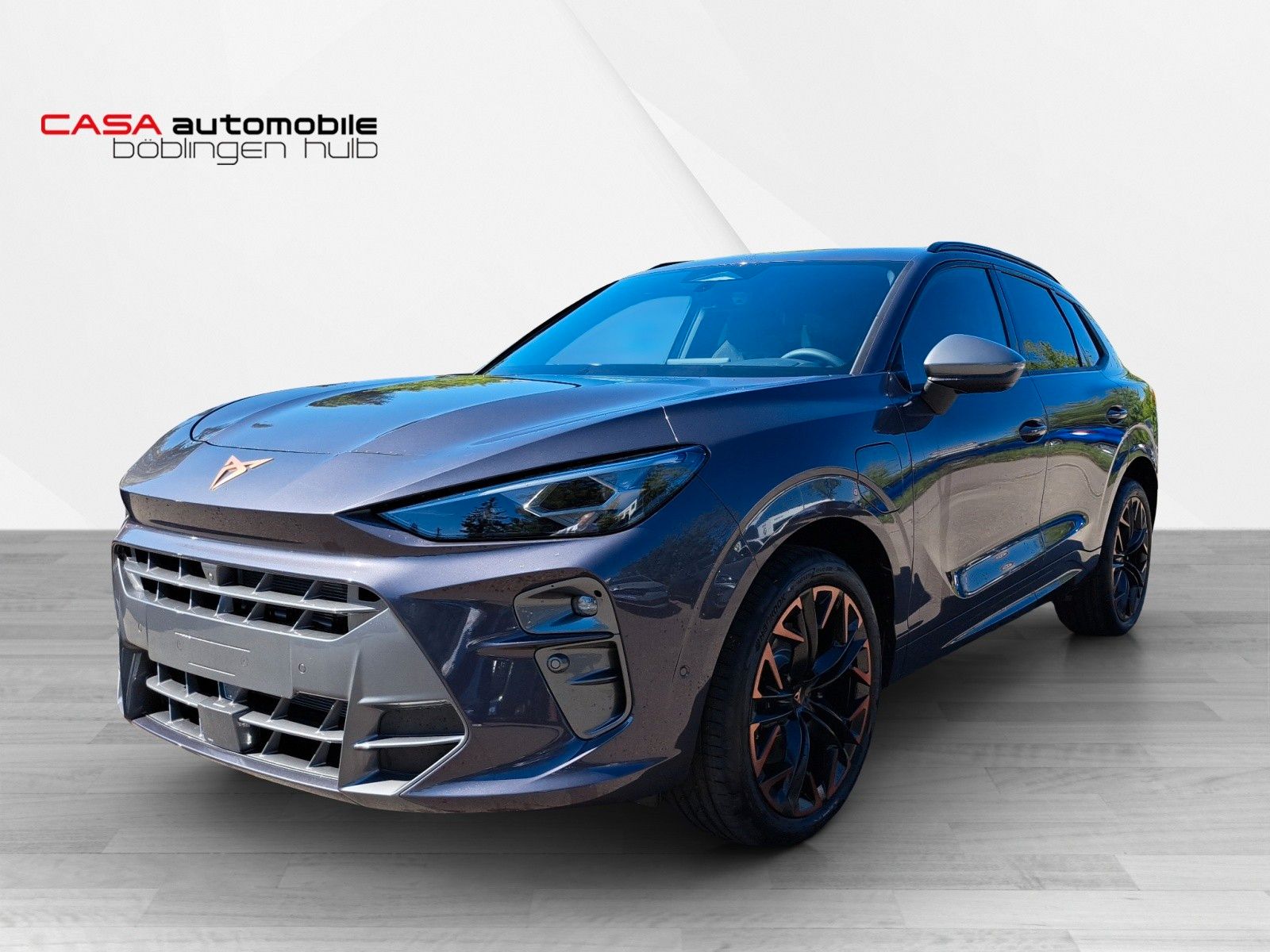 Terramar 1.5 e-Hybrid 200 kW VZ AHK HD-Matrix