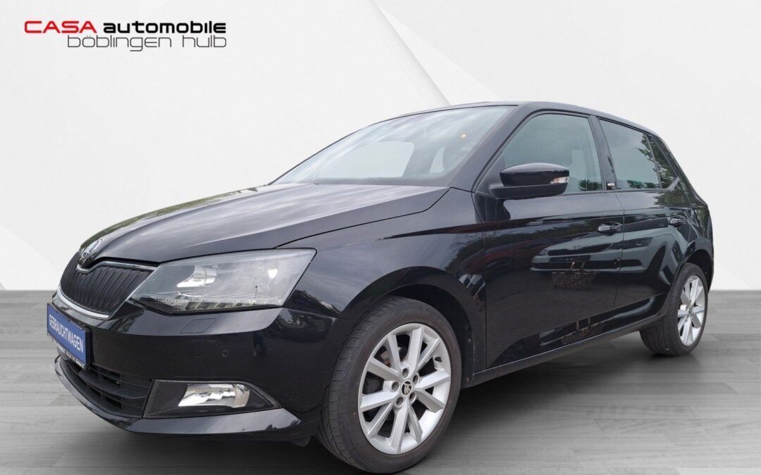 Skoda Fabia Joy 1.2 TSI Klimautomatik SHZ PDC