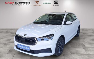 Skoda Fabia Tour 1.0 MPI Klimaauto SHZ PDC