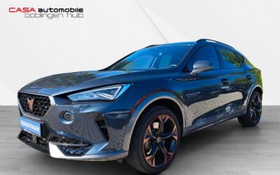 Cupra Formentor VZ 4Drive 2.0 TSI DSG Navi elektr Sitz