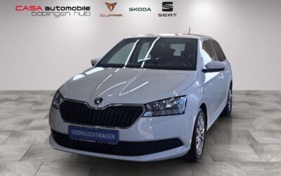 Skoda Fabia Combi Active 1.0 TSI Klima SHZ PDC