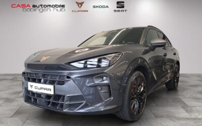 Cupra Terramar VZ 2.0 TSI DSG 4Drive HD-Matrix Skyline