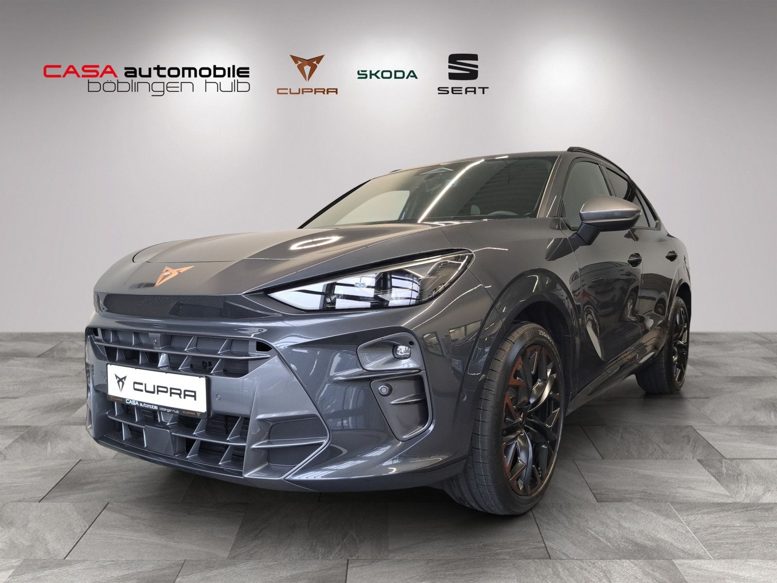 Terramar VZ 2.0 TSI DSG 4Drive HD-Matrix Skyline