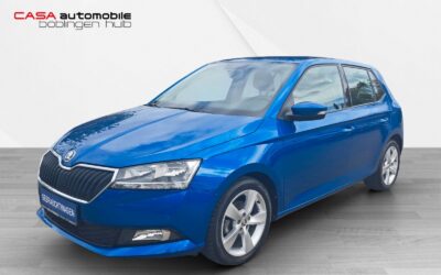 Skoda Fabia Cool Plus 1.0 TSI Klima SHZ PDC