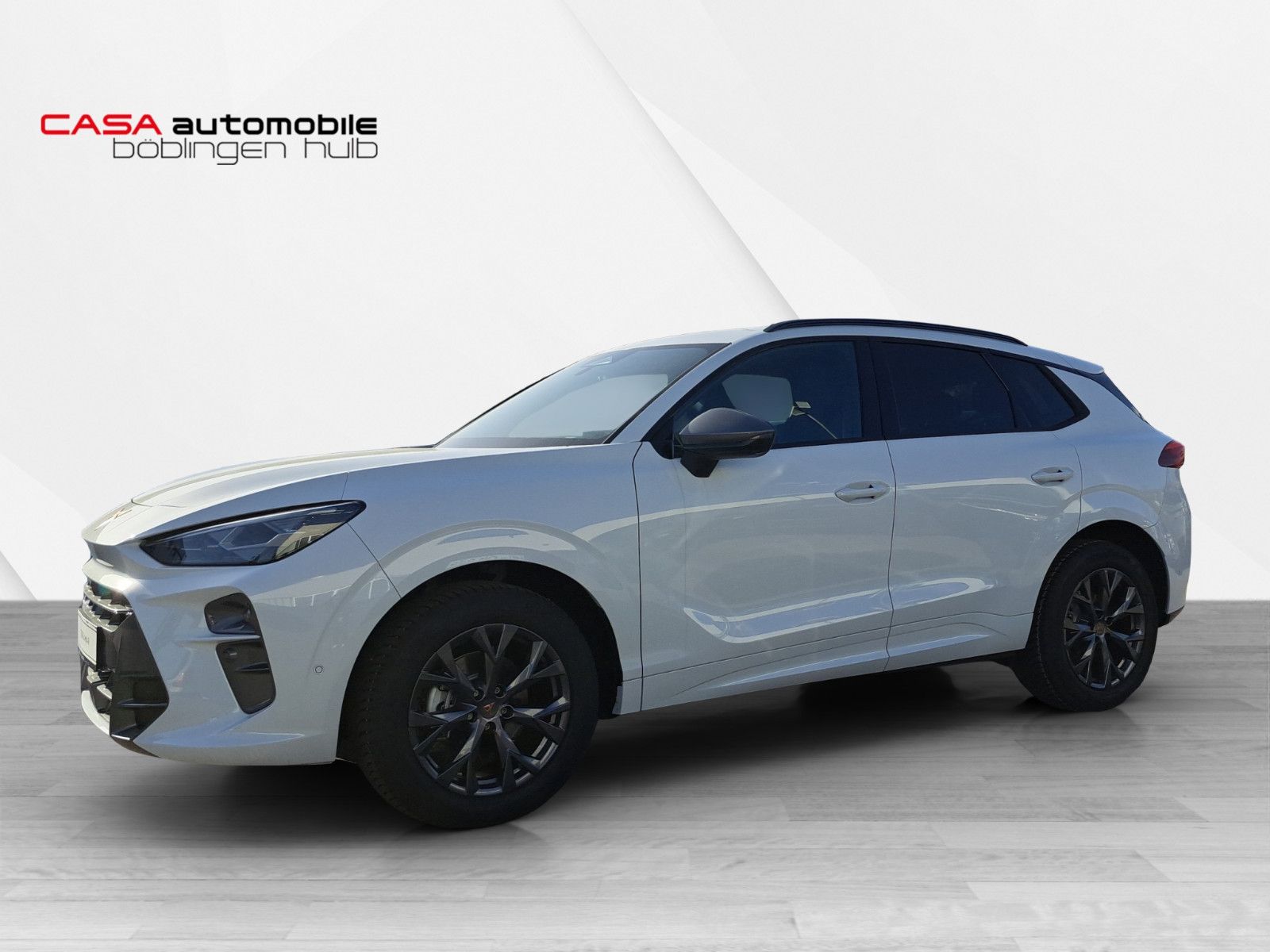 Terramar 1.5 eTSI DSG AHK HD-Matrix Navi